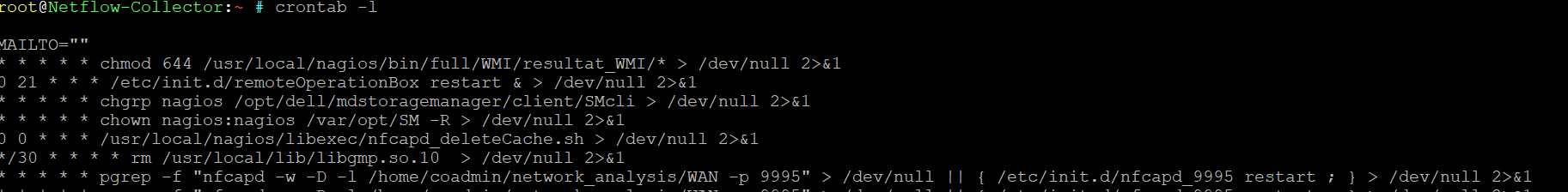 netflow crontab debug
