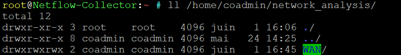 netflow directory debug