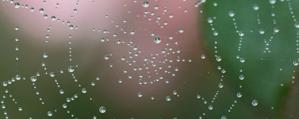 spider web 1185949 960 720